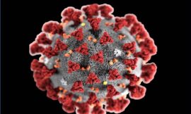 कोरोना हराओ अभियान के तहत 18 जून से घर-घर में होगी कोरोना की जांच