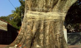 जानें वट सावित्री पूजा की विधि, लॉकडाउन में कैसे करें पति की लंबी आयु की कामना