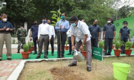 मुख्यमंत्री ने वन भवन, रांची के परिसर में पौधारोपण किया