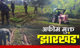 झारखंड पुलिस लगातार अवैध अफीम के खिलाफ अभियान चला