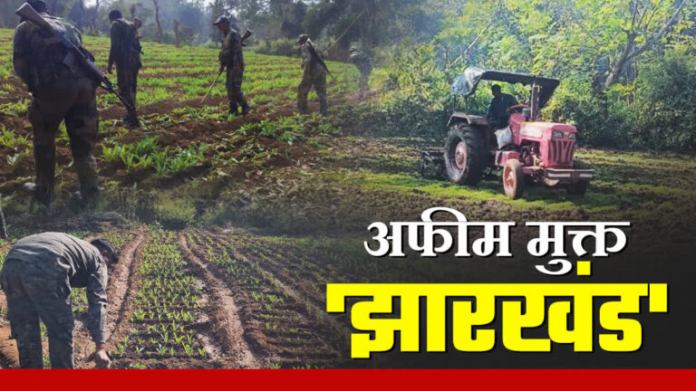 झारखंड पुलिस लगातार अवैध अफीम के खिलाफ अभियान चला