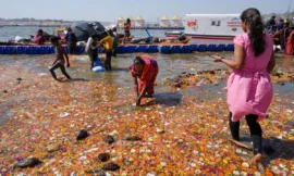 महाकुंभ में आज बनेगा पहला वर्ल्ड रिकॉर्ड: गंगा सफाई अभियान में जुटेंगे सैकड़ों लोग