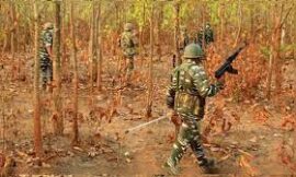 बीजापुर एनकाउंटर: जवानों की बड़ी कार्रवाई, 8 नक्सली ढेर, भारी मात्रा में हथियार बरामद