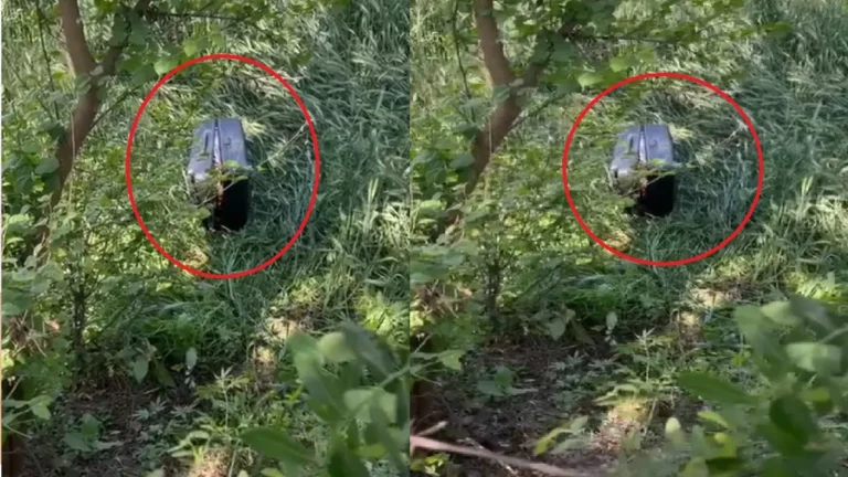 बुलंदशहर में गेहूं के खेत में सूटकेस में मिली 25 वर्षीय युवती का शव, क्षेत्र में मचा हड़कंप