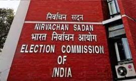 मुख्य निर्वाचन पदाधिकारी ने आज निर्वाचन सदन में सभी जिला के उप निर्वाचन पदाधिकारी के साथ बैठक किया
